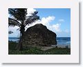 09-Barbados - 029
